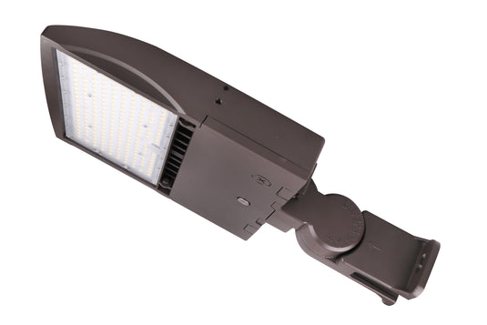 LED AREA LIGHT (LION SSR)