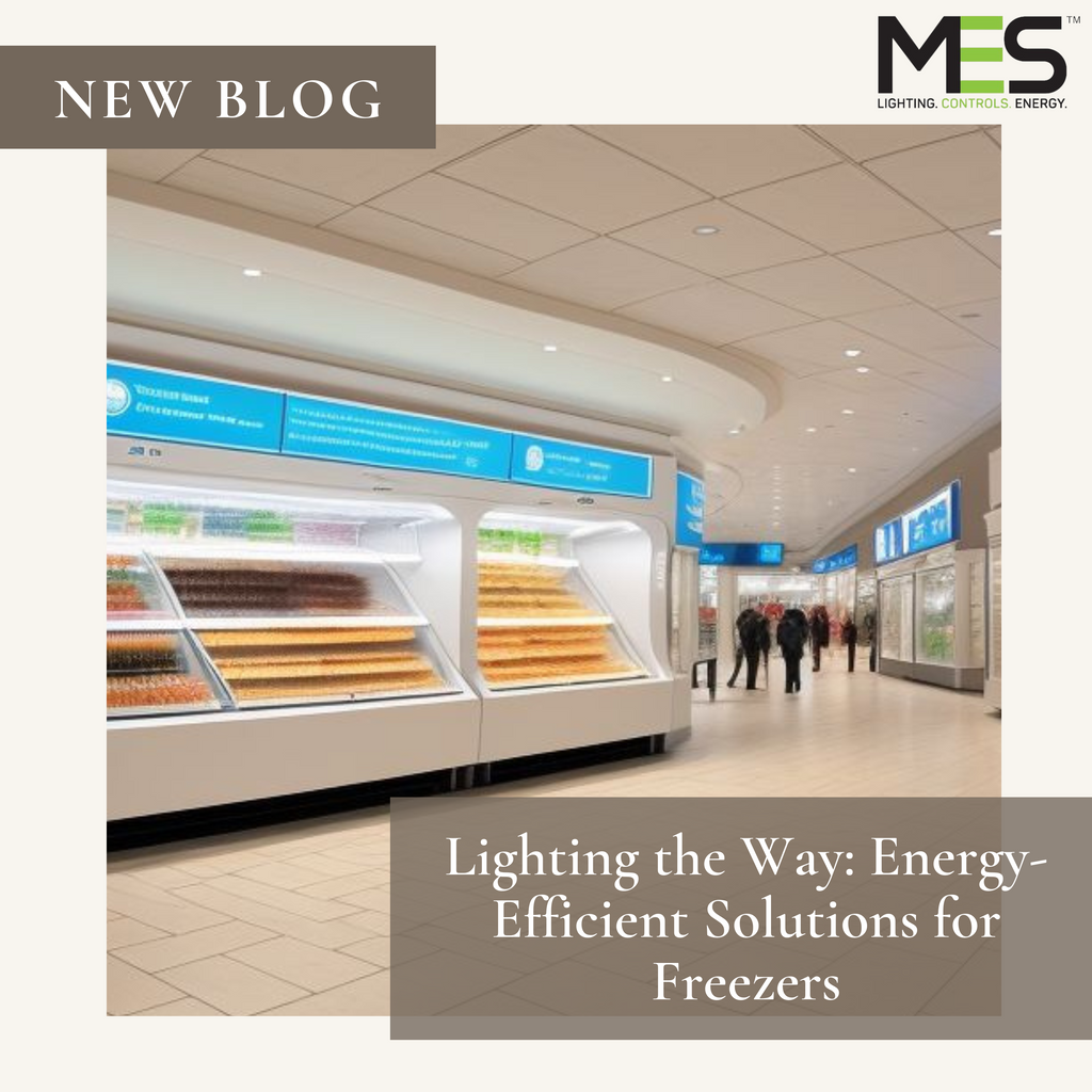 Lighting the Way: Energy-Efficient Solutions for Freezers