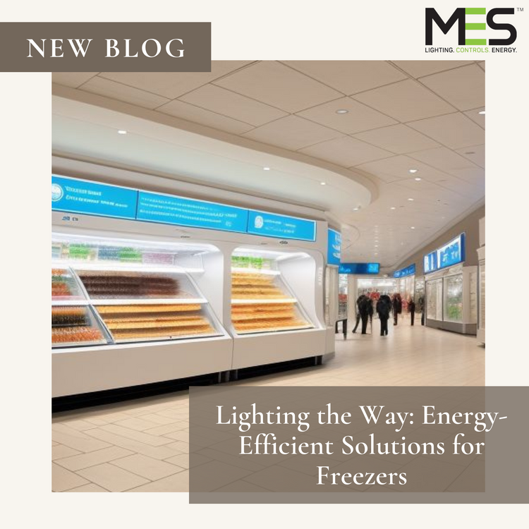 Lighting the Way: Energy-Efficient Solutions for Freezers