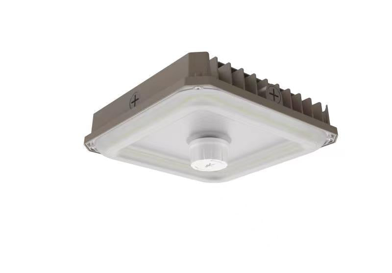 LED Garage Canopy Light (Leo GSR)