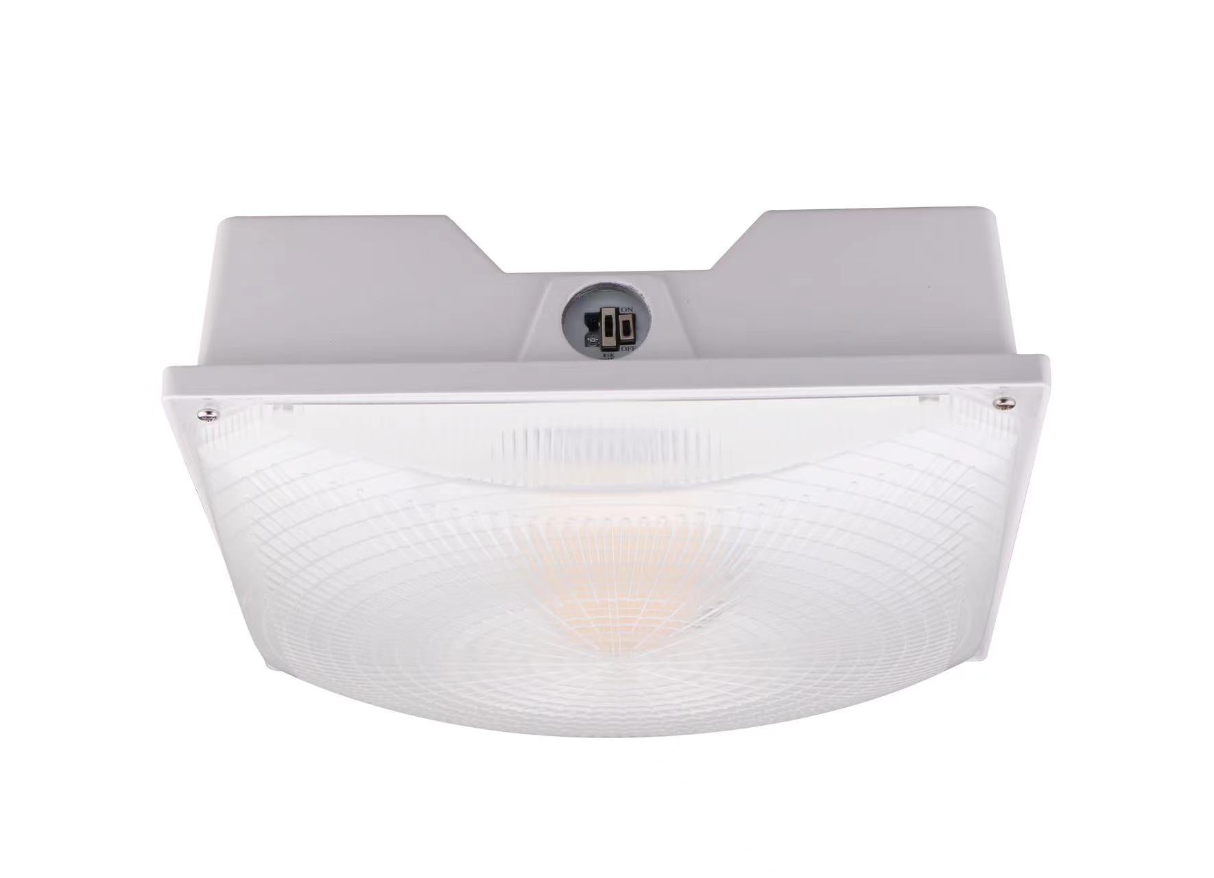 LED Parking Garage Light (Kodiak G)